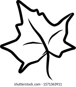 isolated vine leaf icon against a white background