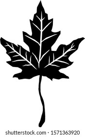 isolated vine leaf icon against a white background