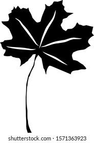 isolated vine leaf icon against a white background