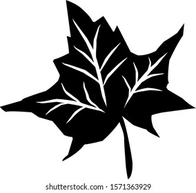 isolated vine leaf icon against a white background