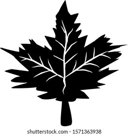 isolated vine leaf icon against a white background