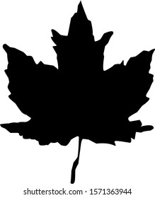 isolated vine leaf icon against a white background