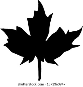isolated vine leaf icon against a white background