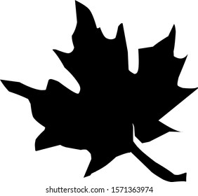 isolated vine leaf icon against a white background
