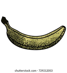 Isolated vintage banana on a white background, Vector illustration