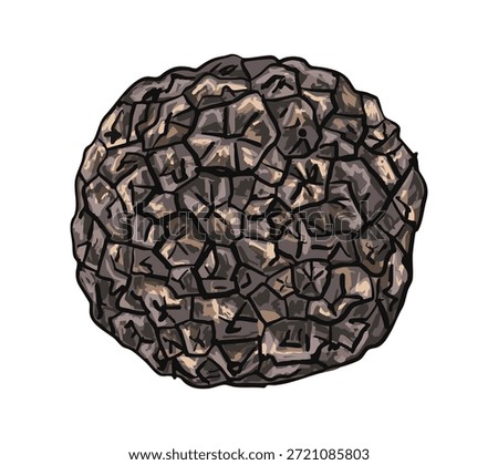 Isolated vintage truffle illustration featuring gourmet chocolate and handmade sweets. Perfect for dessert, culinary, confectionery, recipe, and gourmet-themed design projects.