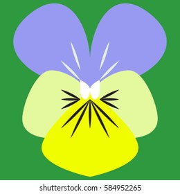 Isolated viola flower yellow and blue in a flat style icon on a green background, vector illustration