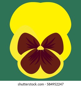 Isolated viola flower yellow with red, flat style icon on a green background, vector illustration