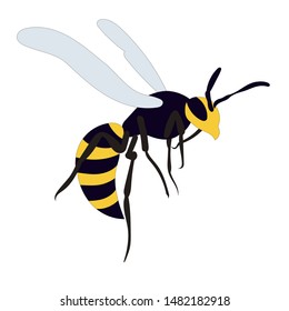  isolated, wasp, bee, on a white background