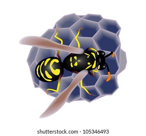 Isolated Wasp Builds Nest. Vector