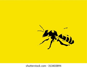 Isolated wasp on yellow background