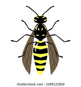 Imagen de avispa aislada en el fondo blanco. Carácter de abeja. Dibujo vectorial de insectos picantes amarillos y negros.