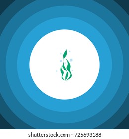 Isolated Water Plant Flat Icon. Seaweed Vector Element Can Be Used For Seaweed, Water, Plant Design Concept.