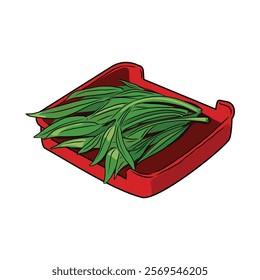 Isolated water spinach or morning glory in red plate, vegetables vector hand drawing illustration,Green leaves and whole part of water spinach on white background.Hight fiber food,hot pot ingredients.