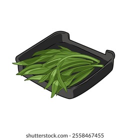 Isolated water spinach in plate, vegetables vector hand drawing illustration,Green leaves and whole part of water spinach on white background.Chinese cabbage.Hight fiber food, hot pot ingredients.