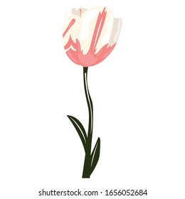 Isolated watercolor flower. Spring season - Vector illlustration