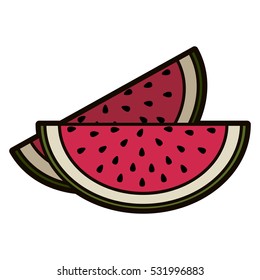 Isolated watermelon fruit design