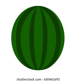 Isolated watermelon on a white background, Vector illustration