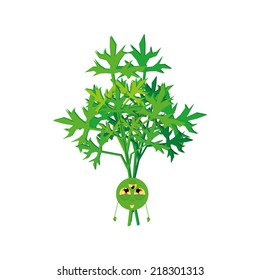 an isolated weird happy vegetable on a white background