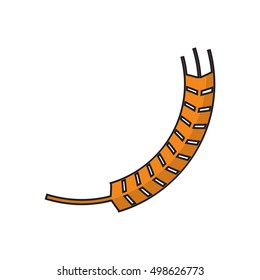 Isolated wheat ear design