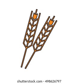 Isolated wheat ear design