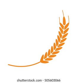 Isolated wheat ear design