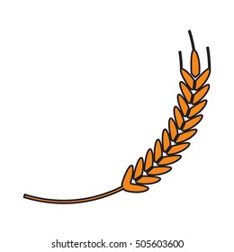 Isolated wheat ear design