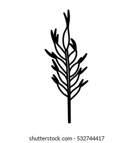 Isolated wheat ear design