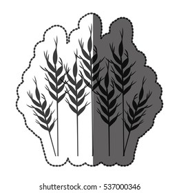 Isolated wheat ear design