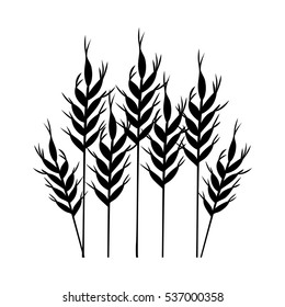 Isolated wheat ear design