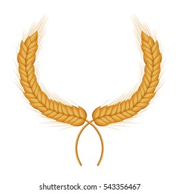 Isolated wheat ear design