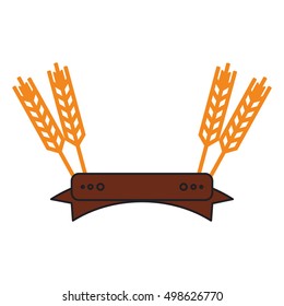 Isolated wheat ear with ribbon design