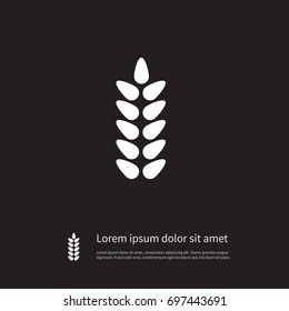 Isolated Wheat Icon. Grain Vector Element Can Be Used For Wheat, Grain, Harvest Design Concept.