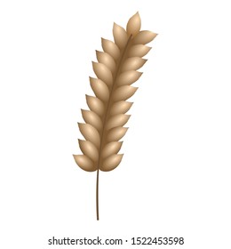 Isolated wheat image over a white background - Vector