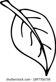 Isolated white and black vector icon flower leaf