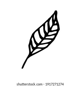 Isolated white and black vector icon flower leafs for botanic, floral, hand drawning on the white background