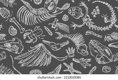 Isolated white chalk contour imprints skeletons of prehistoric animals, insects and plants. Seamless pattern realistic hand drawn art. Vector illustration.