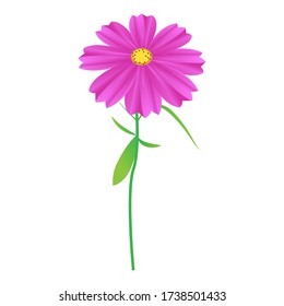 isolated white cosmos flower vector illustration in  gradient flat design icon, stock vector