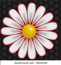 isolated  White daisy background, vector