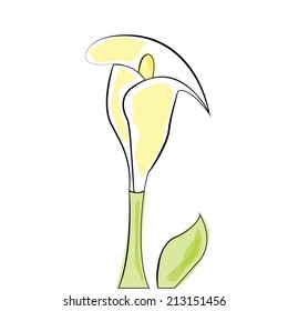 an isolated white flower with a green stem