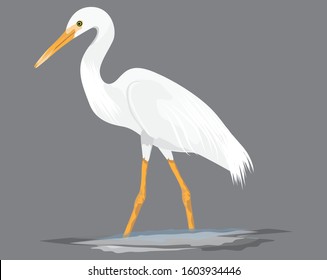 isolated white heron on grey background vector design
