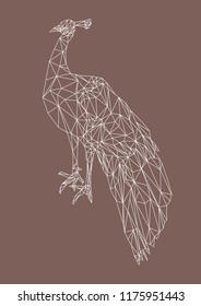 isolated white line polygonal peacock, poly low abstract animal, vector illustration