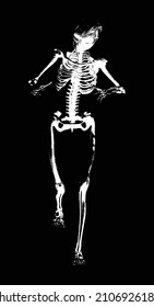 An isolated white skeleton over a black background