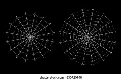 Isolated White Thin Spider Web On Black, Vector
