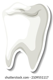 Isolated white tooth on white background illustration