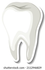 Isolated white tooth on white background illustration