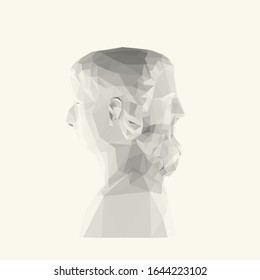 Isolated White Two-faced Janus, Greek God of Time on Light Background. Low Poly Vector 3D Rendering