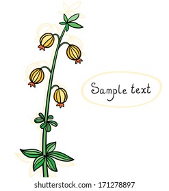 Isolated wild flower. Floral vector background.