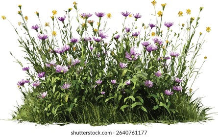 Isolated wildflower, springtime bloom, grass grow, nature vector, green spring grass, floral design, fresh flowers, natural beauty, outdoor spring season, botanical illustration