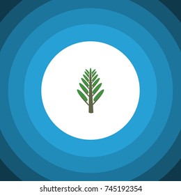 Isolated Willow Flat Icon. Jungle Vector Element Can Be Used For Jungle, Willow, Tree Design Concept.